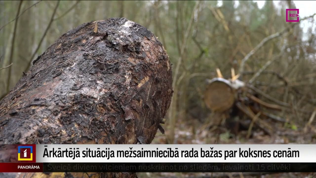 Ārkārtējā situācija mežsaimniecībā rada bažas par koksnes cenām