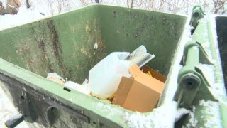 Kā izmest atkritumus, ja konteineri smird tā, ka bail atvērt?!