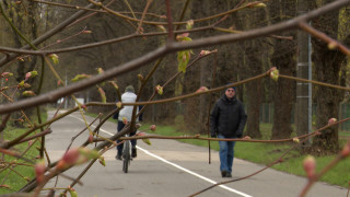 Kurš ir atbildīgs, ja riteņbraucējiem traucē koku zari, kas sitas sejā?