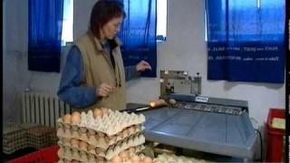 Pircēji aizvien vairāk iecienījuši mājas vistu olas
