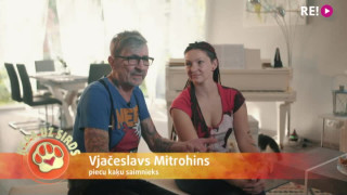 Kāpēc visi pieci kaķi izvēlējās mūziķa Vjačeslava Mitrohina mājas?