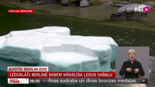 Leduslāči Berlīnē saņem mākslīga ledus gabalu
