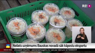 Neliels uzņēmums Bauskas novadā sāk kāpostu eksportu