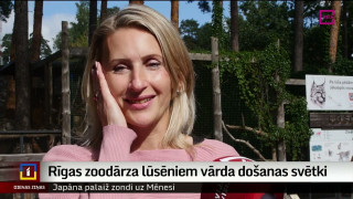 Rīgas zoodārza lūsēniem vārda došanas svētki