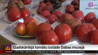 Gadskārtējā tomātu izstāde Dabas muzejā