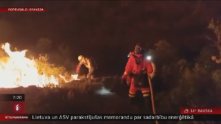 Eiropas dienvidos plaši savvaļas ugunsgrēki