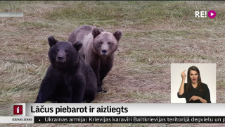 Lāčus piebarot ir aizliegts