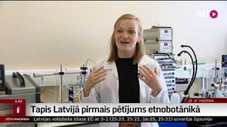 Tapis Latvijā pirmais pētījums etnobotānikā
