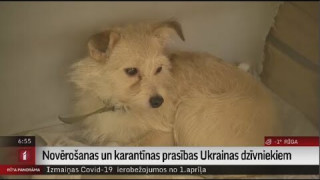 Novērošanas un karantīnas prasības Ukrainas dzīvniekiem