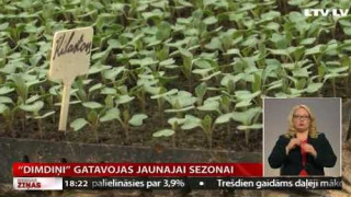 "Dimdiņi" gatavojas jaunajai sezonai