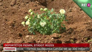 Deportētos piemin, stādot rozes