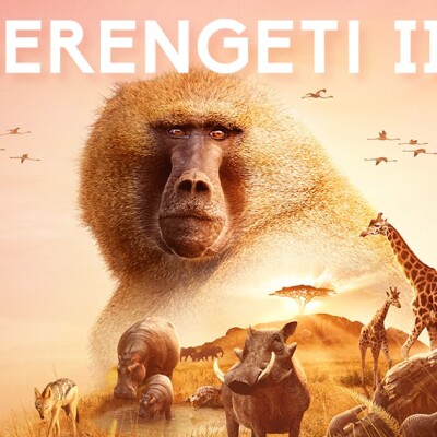 Serengeti līdzenums